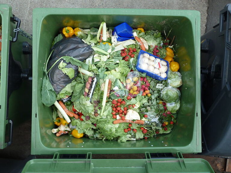 Food waste in a bin