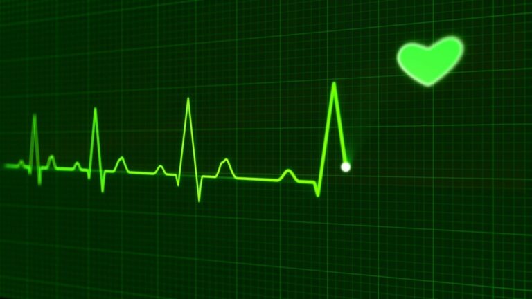 Heart beat scan image in greens